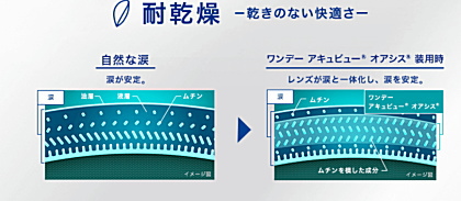 涙の安定で乾燥に強い